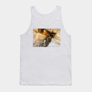 A Hole In The Rock - 1 © Tank Top